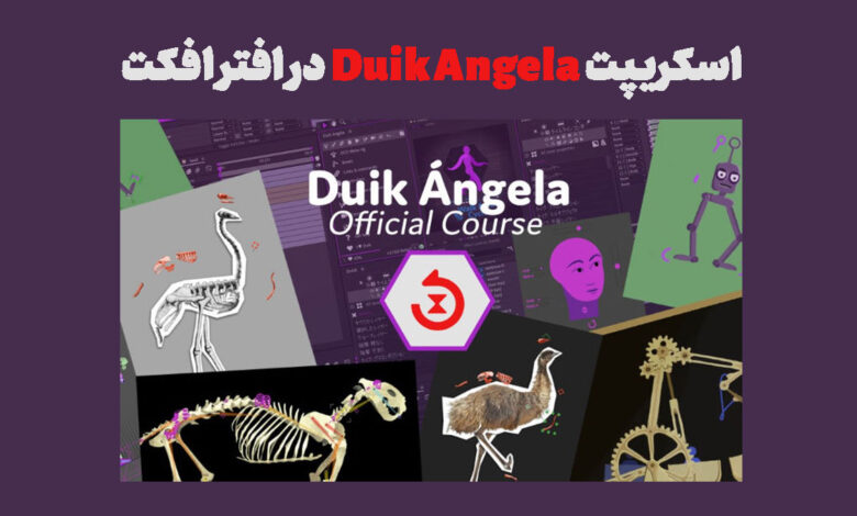 اسکریپت Duik Angela در افتر افکت