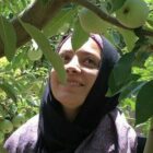 تصویر آزاده کریمی