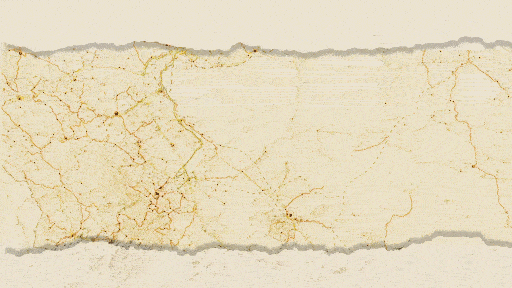 آموزش موشن گرافیک به سبک کلاژ 6 آموزش موشن گرافیک به سبک کلاژ 6