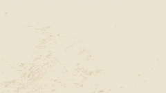 آموزش موشن گرافیک به سبک کلاژ 5 آموزش موشن گرافیک به سبک کلاژ 5